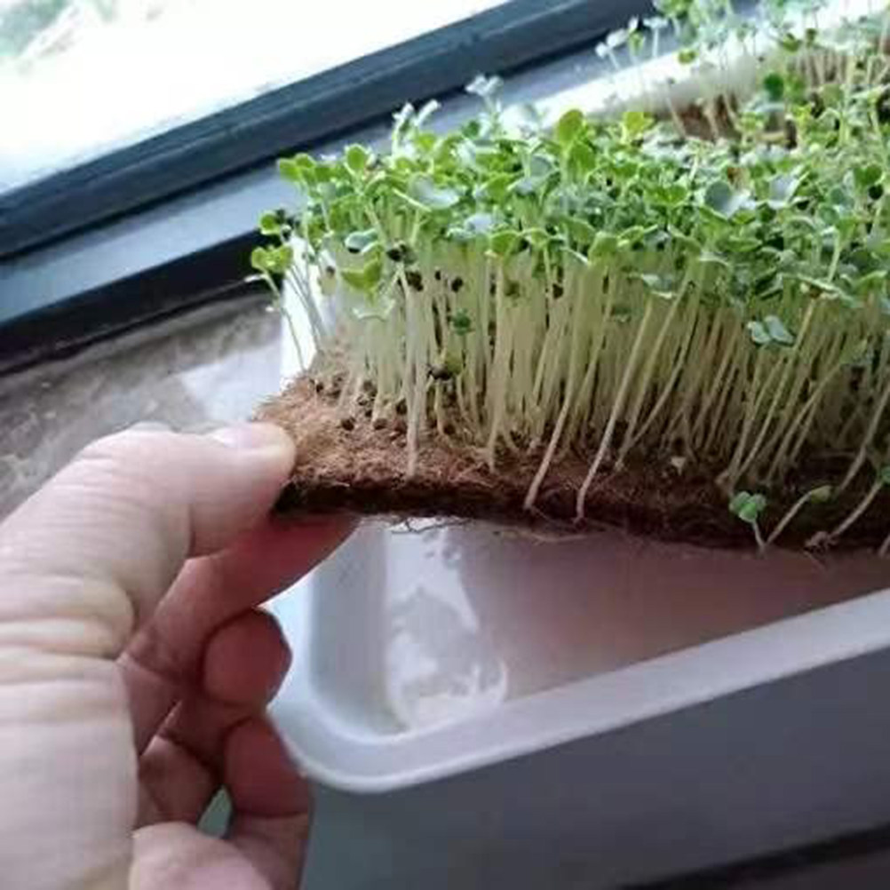 Mata włóknista do kompostowani – Biodegradable Bin Liner recenzja i cena